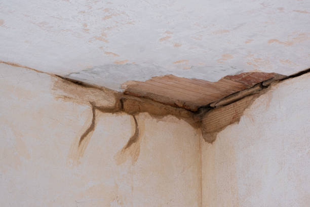 Best Fire Damage Restoration  in Goodland, KS