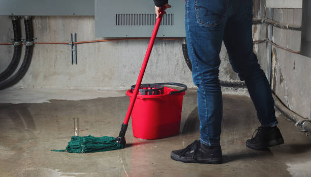 Best Local water damage restoration  in Goodland, KS