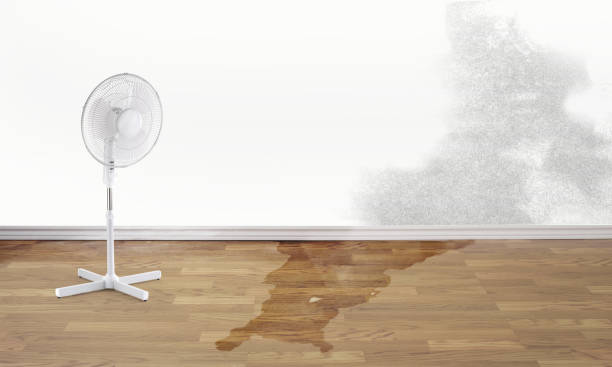 Best Flooded house restoration  in Goodland, KS