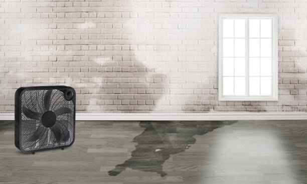 Best Water damage repair service  in Goodland, KS