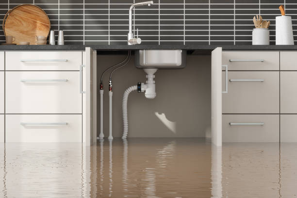 Best Local water damage restoration  in Goodland, KS