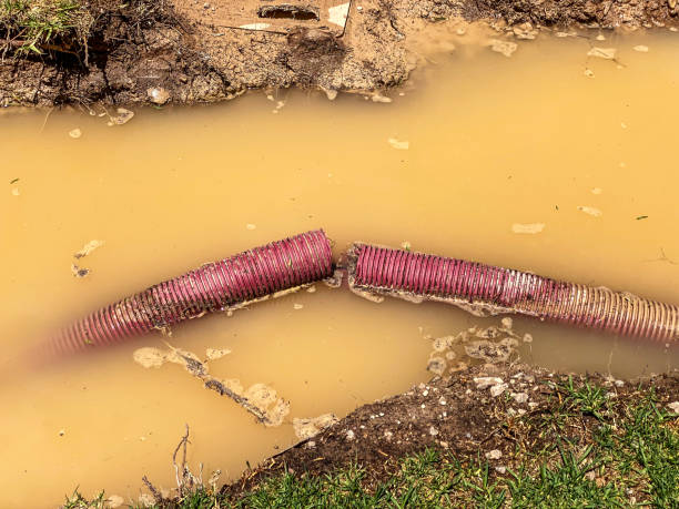 Best Carpet water damage restoration  in Goodland, KS