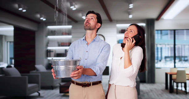 Best Water damage cleanup near me  in Goodland, KS
