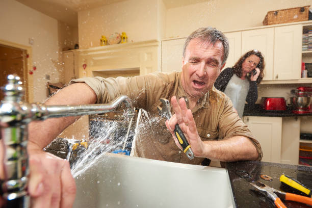 Best Flood damage cleanup  in Goodland, KS